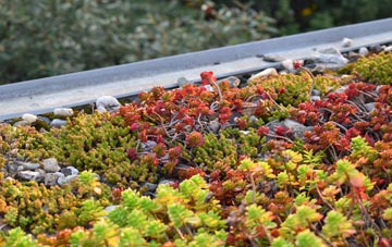 the cost of Gransha green roof installation