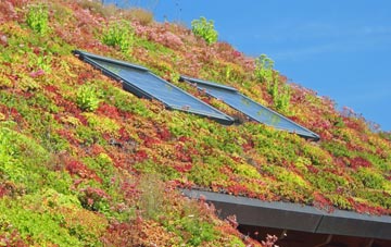 Gransha living roof systems