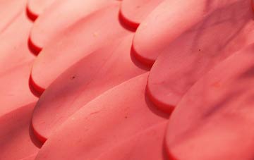 Gransha plastic roof costs