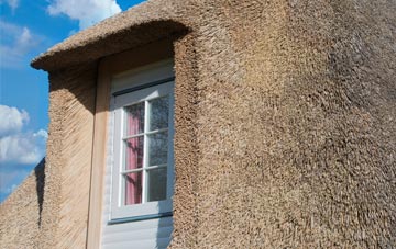 Gransha thatch roof disadvantages