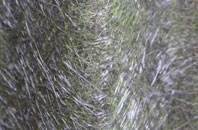 Gransha fibreglass roof work